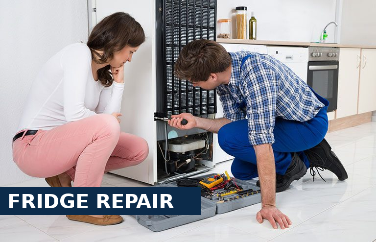 Fridge Repair Westcombe Park